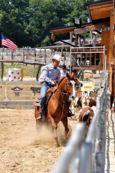 15-16.7.2017 Western rodeo