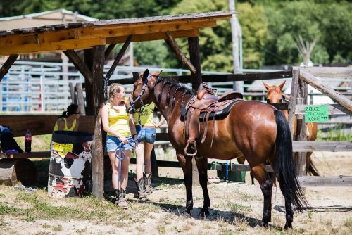 17-19 .8.2018 Western rodeo/ 7.kolo-Dobytok,8.kolo-Lasa,6.kolo-Rychlostky,3.kolo-Team Roping (SAWRR) SAWRR