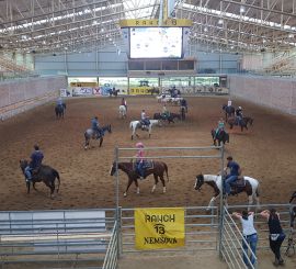 SK - Nemšová - 1.kolo Cutting 4NCHA , CowHorse CE ERCHA REGIONAL Show III