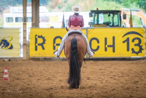 HALA - SK - Nemšová - MSR ,Drezura AQHA +X kolo Team Roping (SAWRR + AQHA)