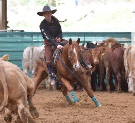 HALA - 4NCHA AUTUMN SLOVAKIAN LAE SHOW – NCHA approved 4NCHA AUTUMN SLOVAKIAN CHALLENGER SHOW – NCHA approved + ERCHA Cow horse