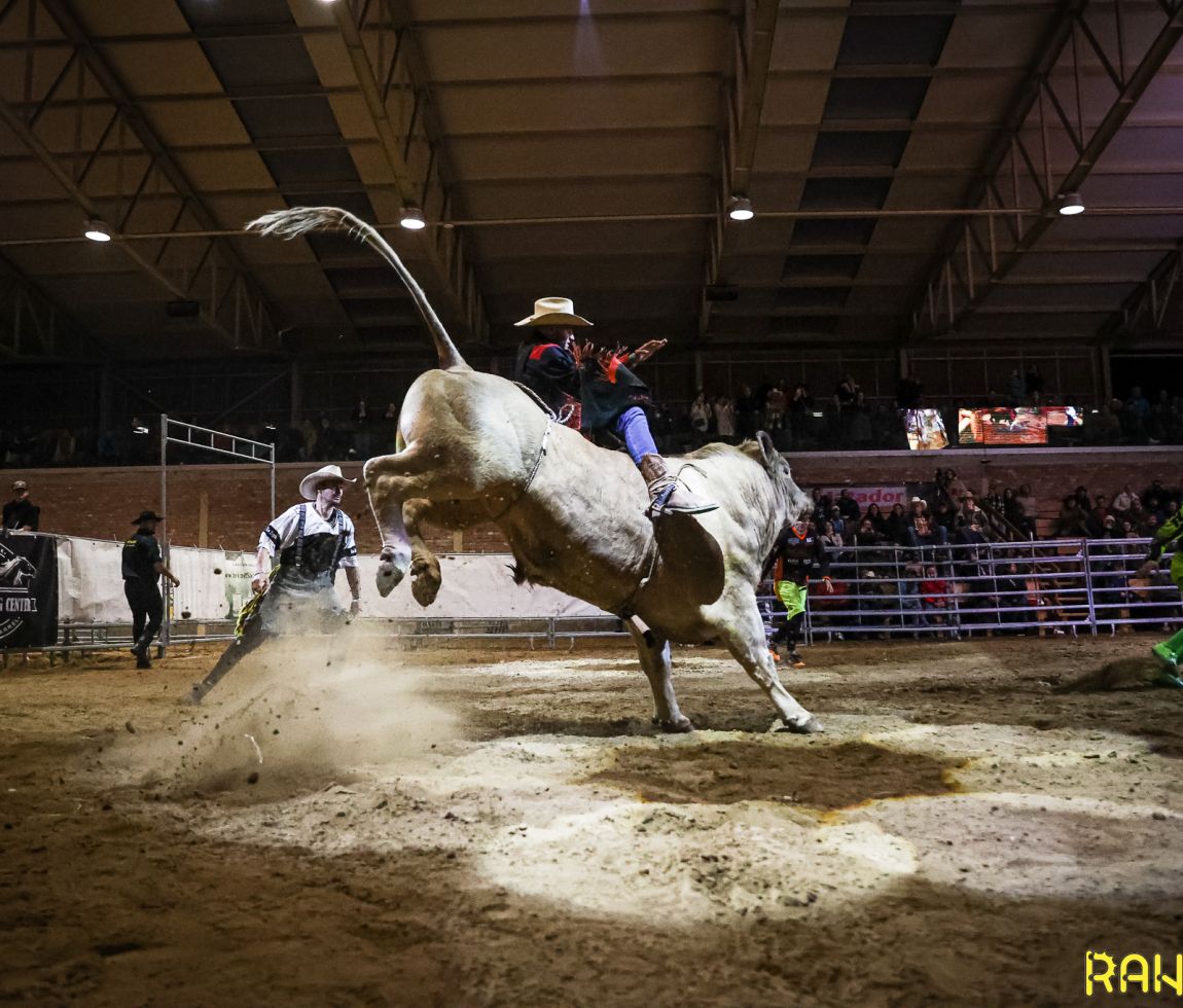 bullriding