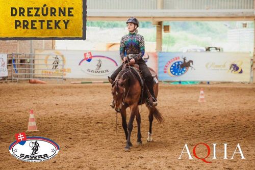 HALA - Drezura - Reining (SAWRR + AQHA)