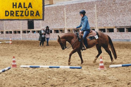 HALA - Seesee Cup 2024 ,Moravian CUP - Nemšová Ranch 13 - Drezúra