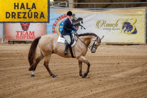 HALA - MSR SAWRR Drezúra + AQHA show (SAWRR + AQHA)