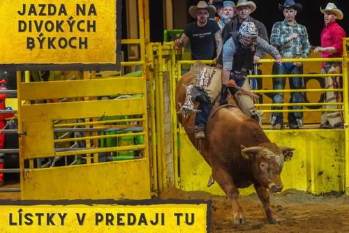 HALA - Bull Riding-Ranch13 (SAWRR)