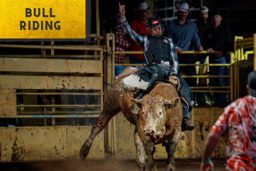 Bull Riding
