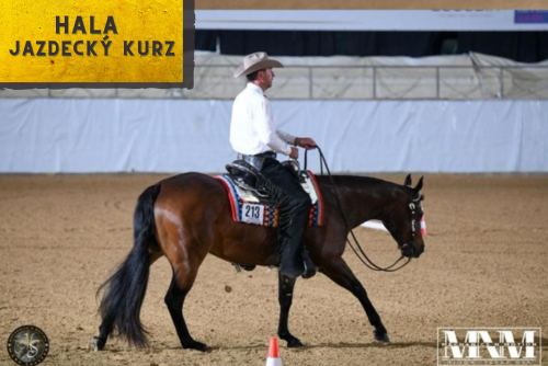 HALA - Kurz s Mark Shaffer - Clinic
