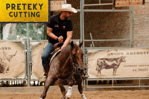 HALA - 4NCHA Spring Challenger Show cutting, Cow horse(4NCHA + ERCHA + SAWRR)