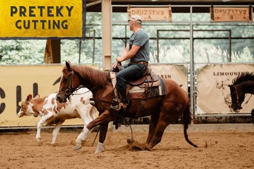 HALA - 4NCHA Spring Challenger Show II cutting (4NCHA + ERCHA + SAWRR)