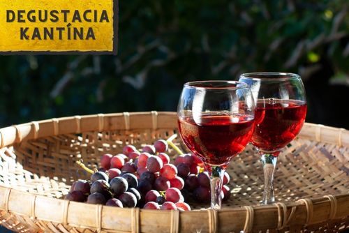KANTÝNA - Degustácia vín Martin Pomfy vinárstvo MAVÍN