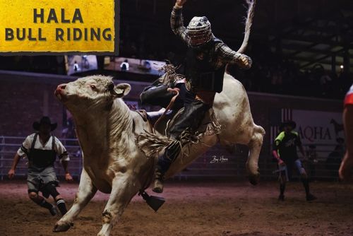 HALA - Bull Riding 18:00 (SAWRR)