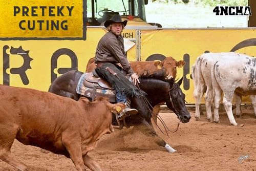 HALA - 4NCHA Sprin Challenger Show II cutting, Cow horse (4NCHA + ERCHA + SAWRR)