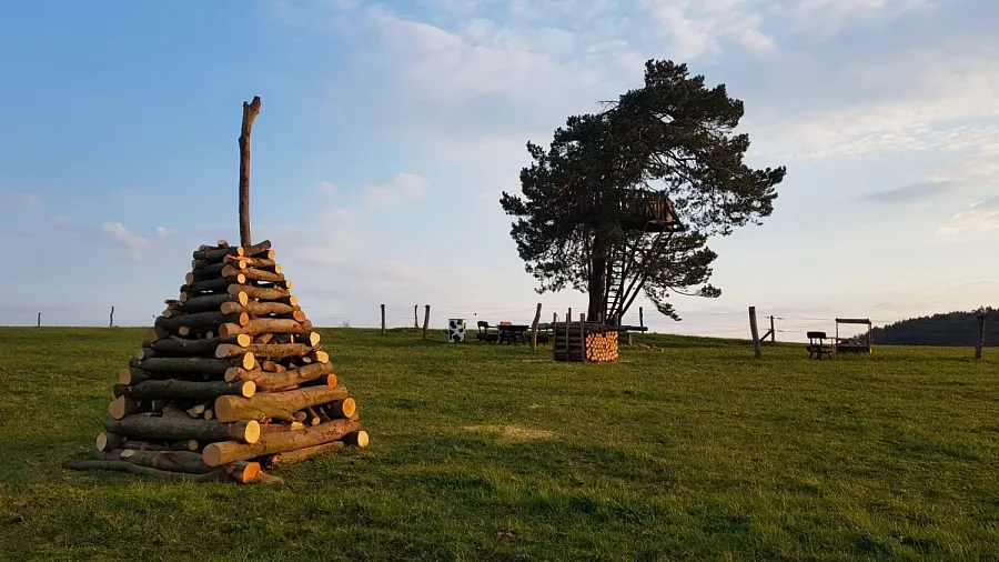 Borovice nad rančem 13