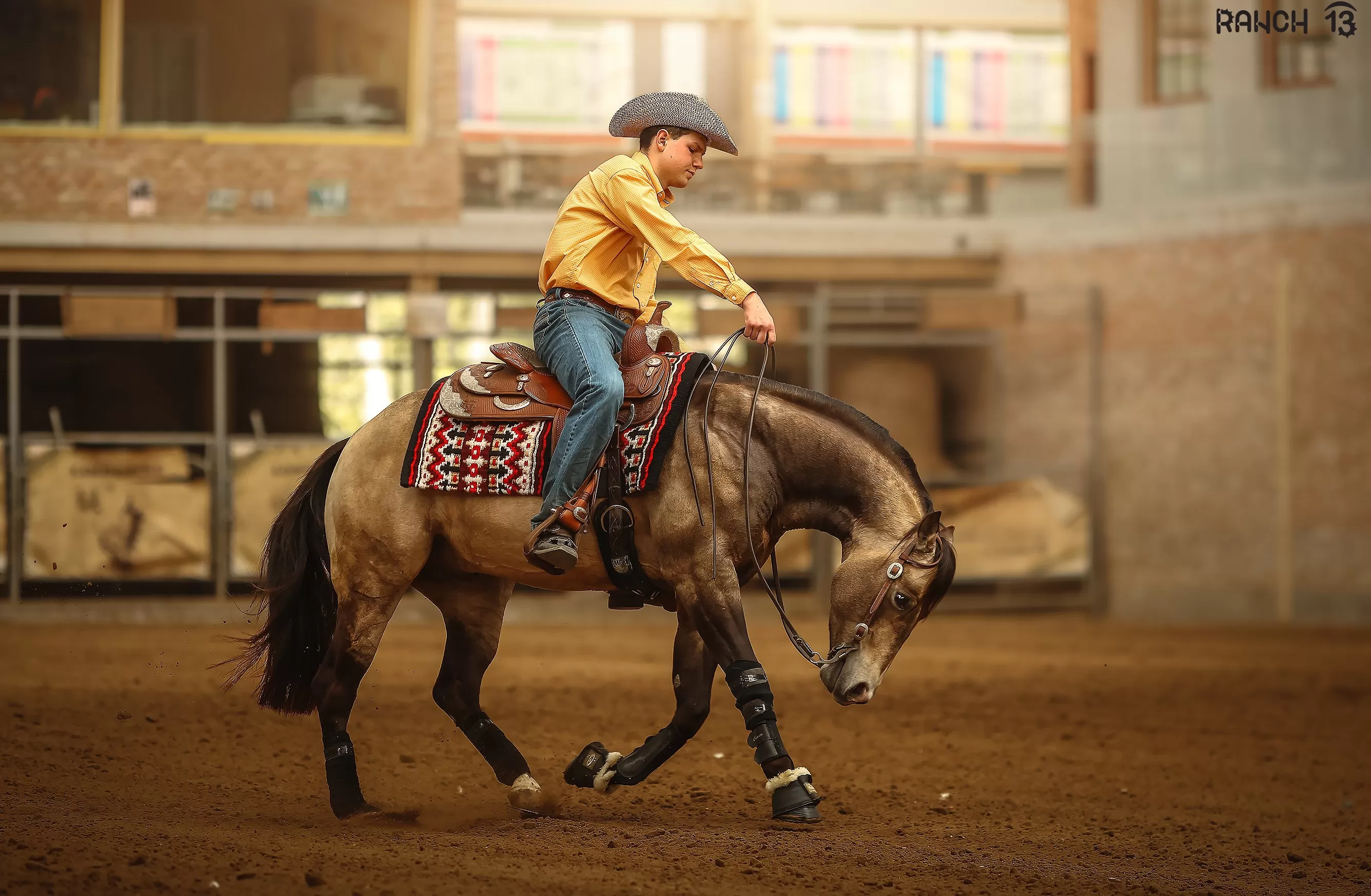 HALA - Reining NRHA  Hot Summer Show