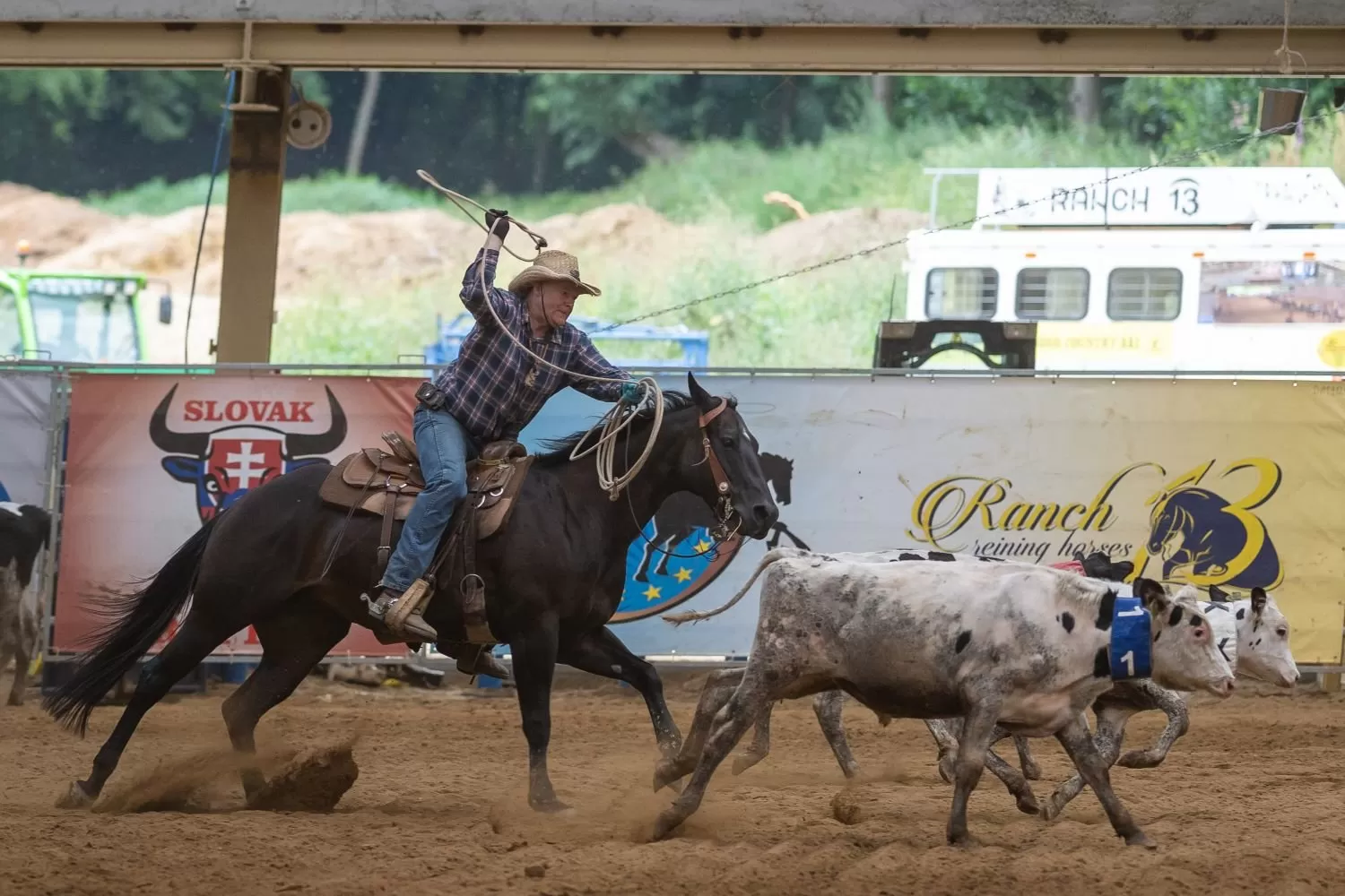 Holiday 2025 - Kurz: Roping, Reining, Ohrádky SAWRR