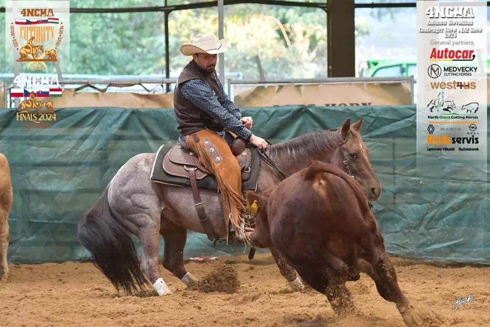 HALA - 4NCHA Spring Challenger Show II cutting + ERCHA Regional Show -Cow horse (4NCHA + ERCHA)