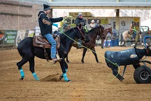 Autumn Holiday 2025 - Kurz: Roping, ERCHA Cow horse training