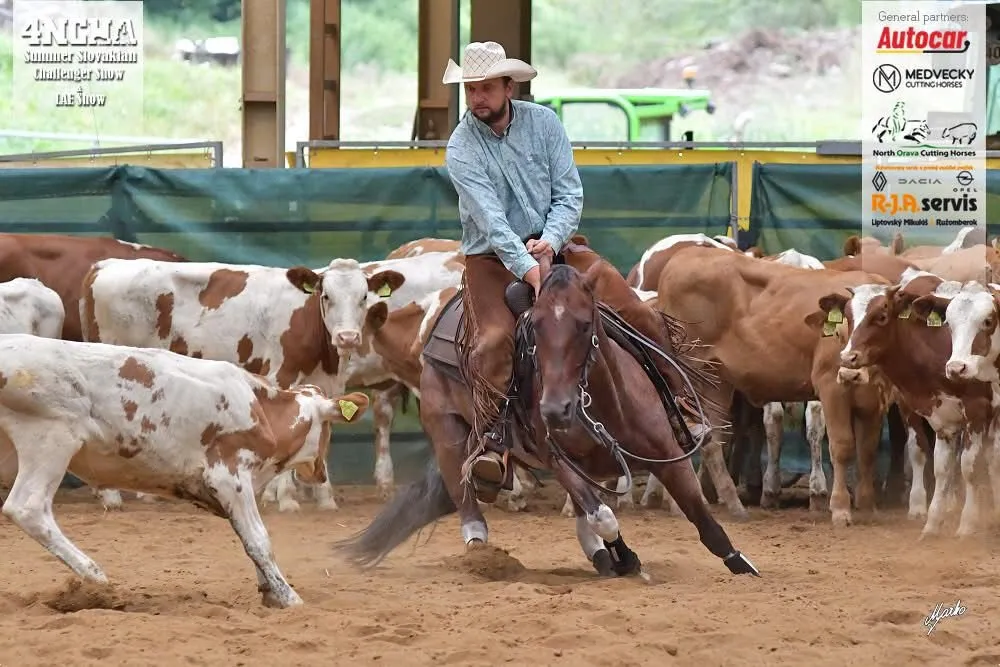 HALA - ERCHA Regional Show - Cow horse + MSR Team Roping