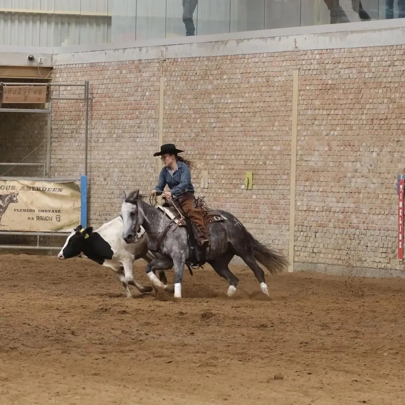 HALA - ERCHA Regional Show - Cow horse + MSR Team Roping