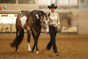 SK - Nemšova - Drezura All Round - SAWRR 1.kolo + WRC B