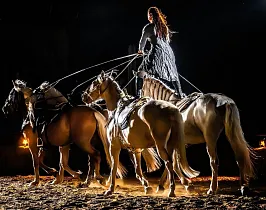 Konská show - Kůň Páty Element