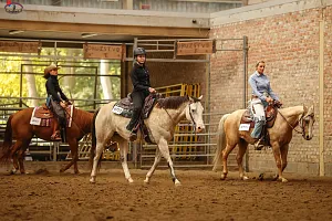 HALA - SeeSee Cup drezúrne preteky