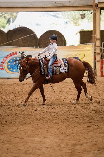 HALA - Dětské dostihy - drezura sawrr championat - reining (SAWRR)