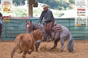 HALA - 4NCHA ŘEZÁNÍ III.