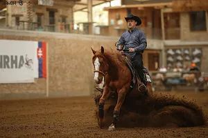 HALA - Reining NRHA SUMMER SHOW + SAWRR 2. kolo