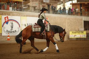 HALA - Reining NRHA HOLIDAY SHOW + 3. kolo SAWRR