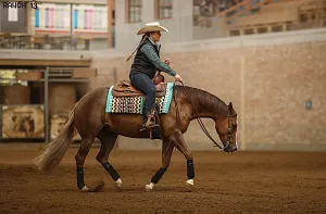HALA - Reining MSR + NRHA - Ranch13 listopad Slide Autumn DERBY
