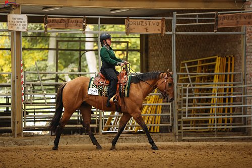 HALA - MSR - Drezurní všestrannost - Ranch13 SAWRR + AQHA + APHA 10.-12.10.2025