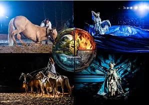 Konská show - Kůň Páty Element