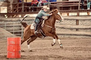 HALA - MSR v rýchlostných disciplínach (SAWRR+WJL+PP)