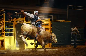 Bull Riding 26.9.2026
