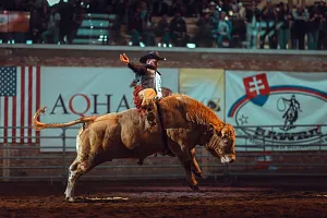 Bull Riding