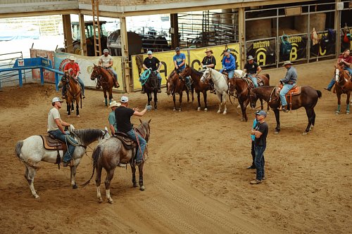 HALA - Holiday 2026 - Kurz: Roping, ERCHA Cow horse training