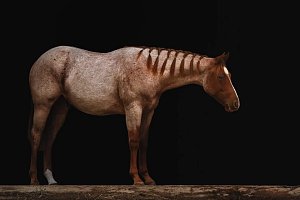 Fanouškovštější než kdykoli předtím