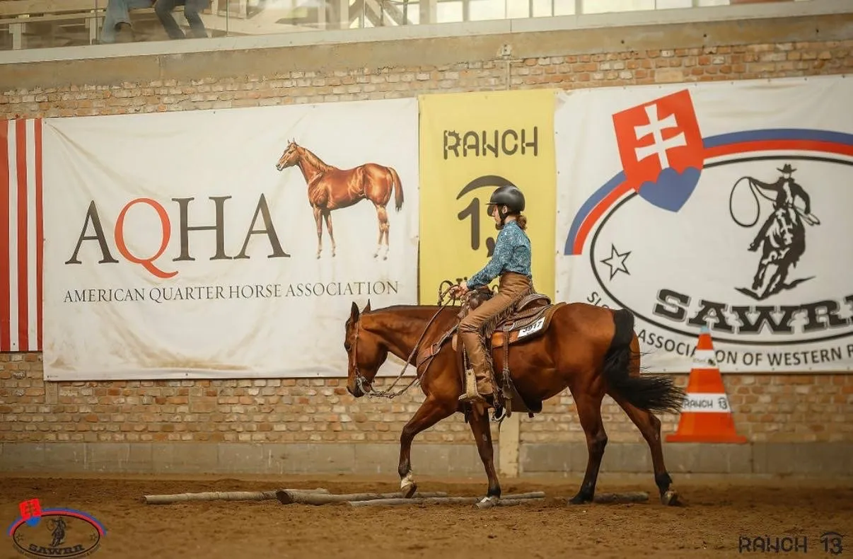 Buffalo Royal Boogie