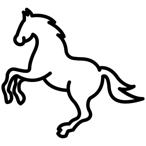 Tréning na  koní