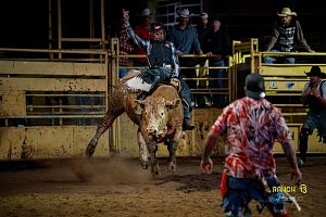 Bull Riding