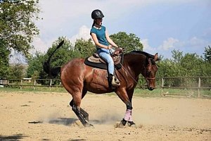 DB Impex Olena Chex